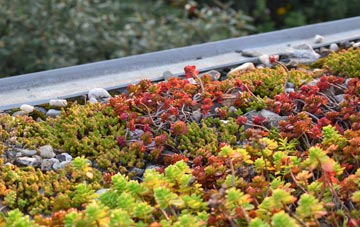 the cost of Wiggenhall St Peter green roof installation