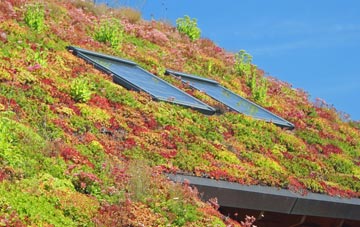 Wiggenhall St Peter living roof systems